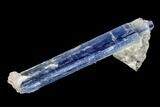 Vibrant Blue Kyanite Crystal - Brazil #113464-1